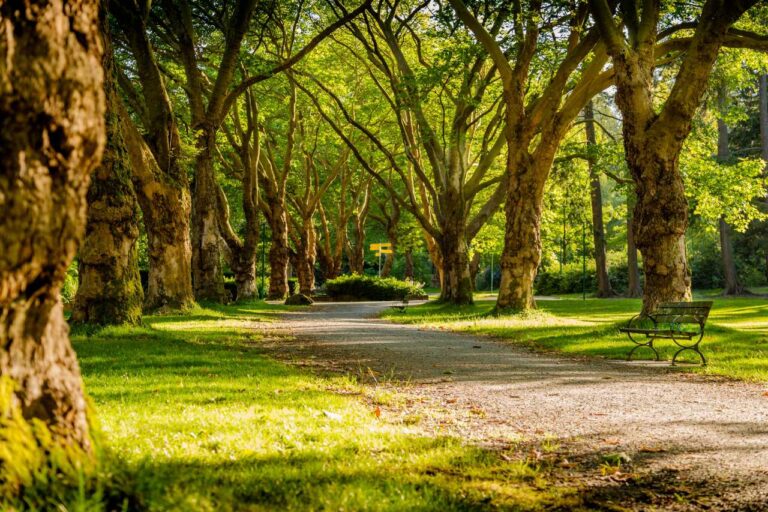 4 Top Golden Summer Getaways in Canada